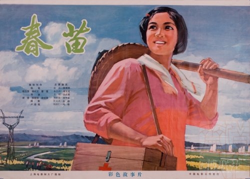 做假荷兰护照